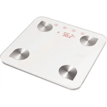 Caso BF4 Scales, Weight: max