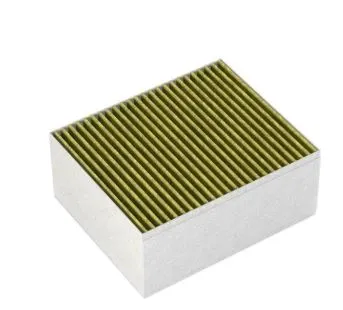 Anglies filtras Bosch DZZ1XX1B6