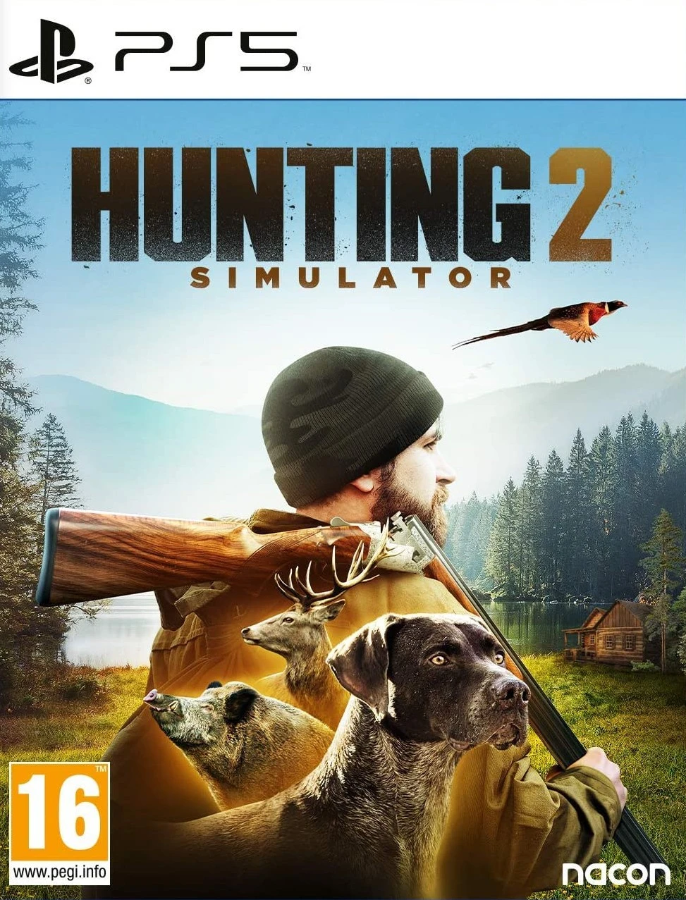 Kompiuterinis žaidimas Hunting Simulator 2 PS5