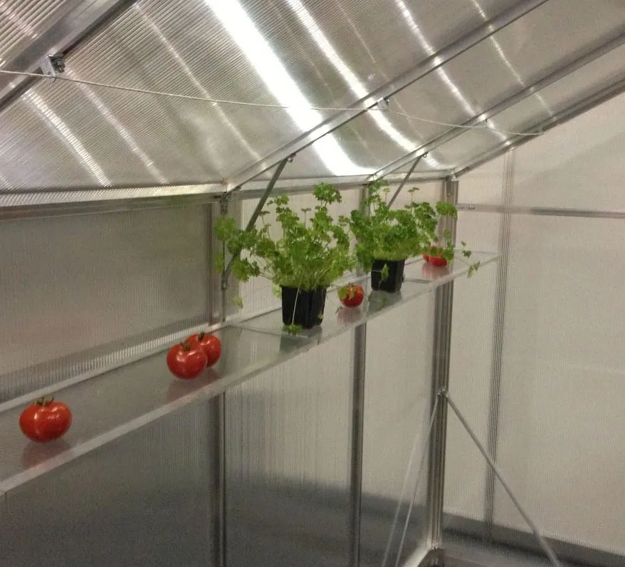 Šiltnamio GAMPRE Sanus lentynėlė 40x70 cm 