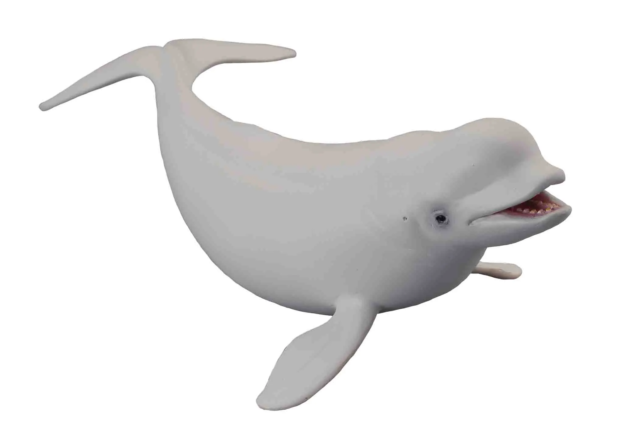 SURINKTA Beluga Bangini L 88568