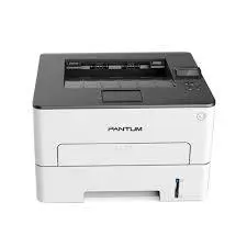 Spausdintuvas Pantum P3010DW, White