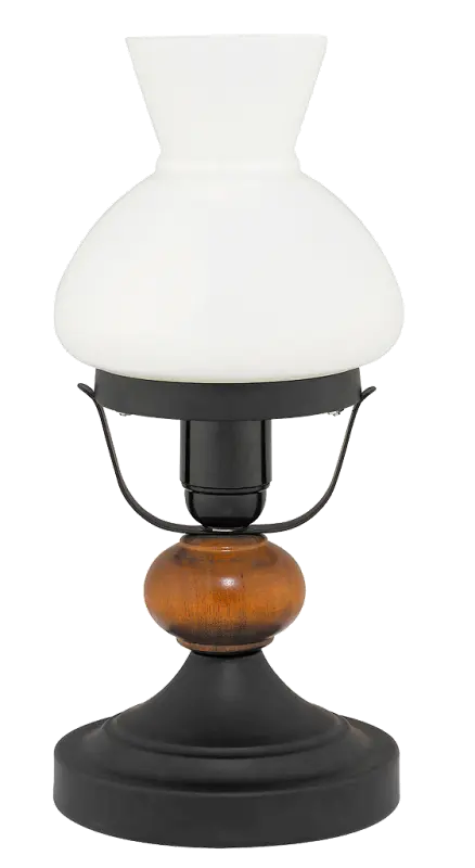 Pastatomas šviestuvas RABALUX Petronel 7072