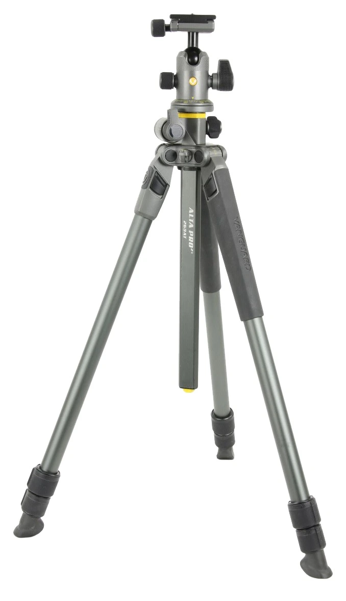 Vanguard Alta Pro2+ 263AB100
