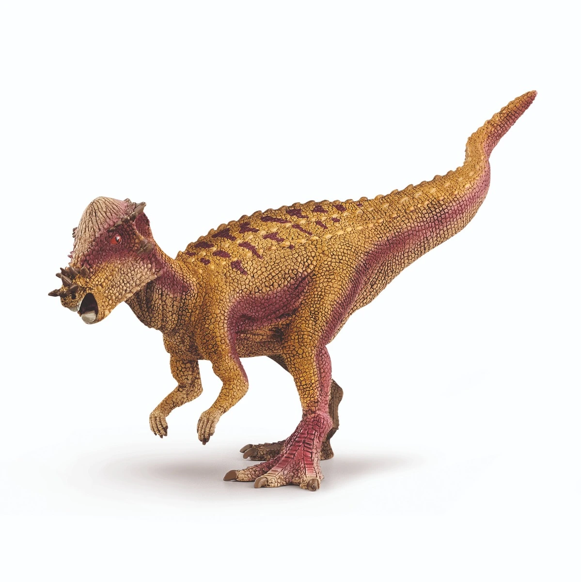 ŠLEICO DINOZAURAI Pachicefalozauras
