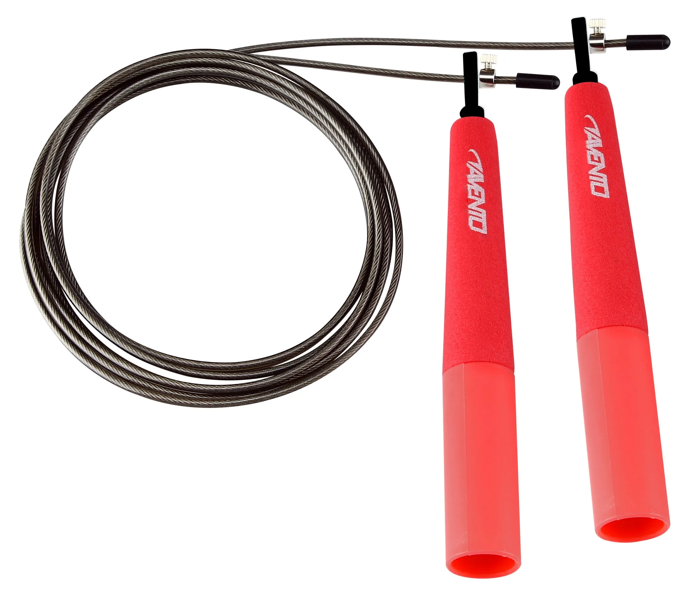 Šokdynė AVENTO 42HO 290cm Steel Pink