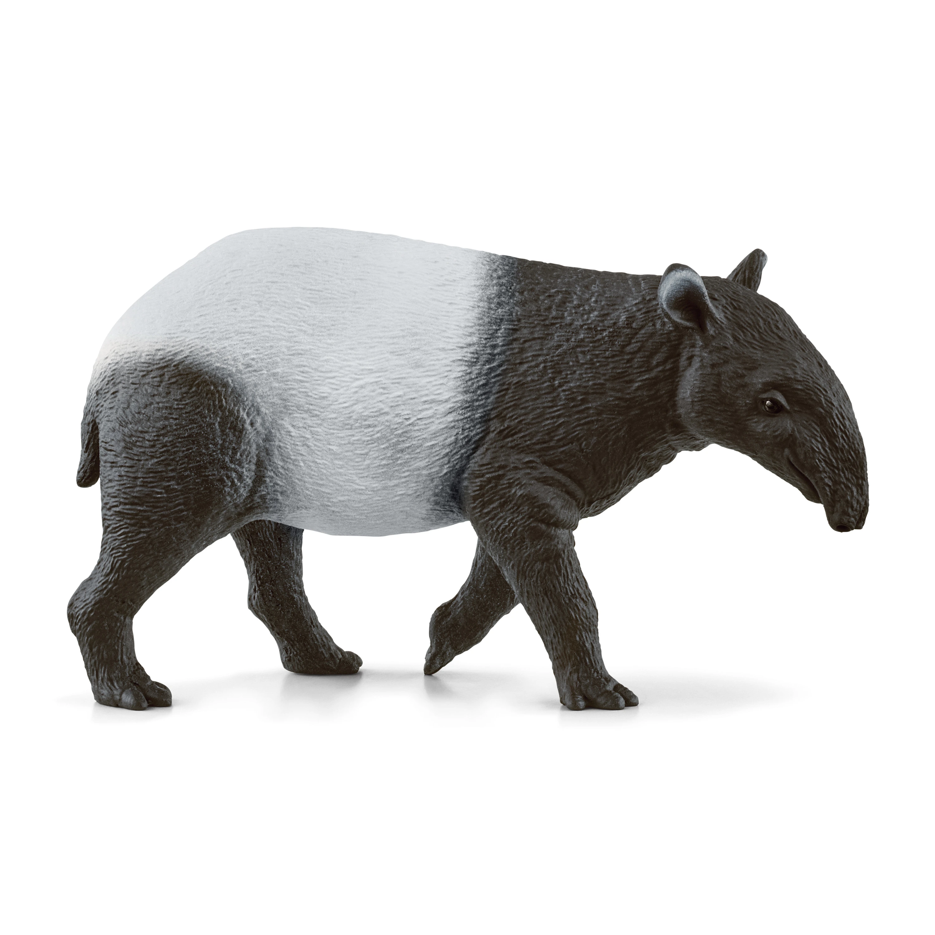 SCHLEICHO LAUKINĖ GYVENIMAS Tapyras
