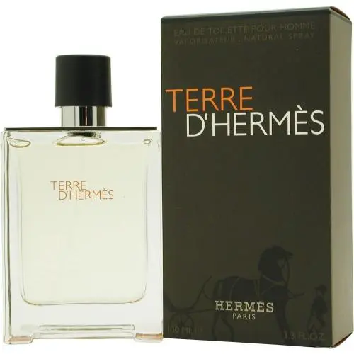 Hermes Terre D EDT purškiklis 100 ml vyrams