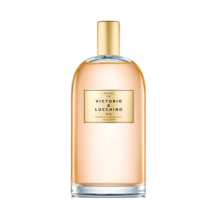 VICTORIO LUCCHINO'S WATERS No6 EDT purškalas 150 ml