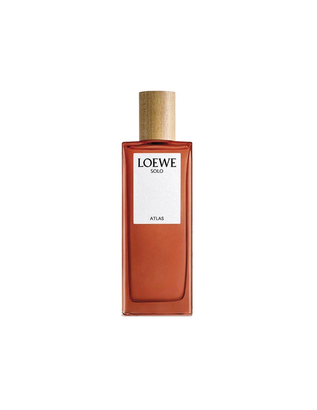 LOEWE SOLO ATLAS EDP 100ml GARINtuvas