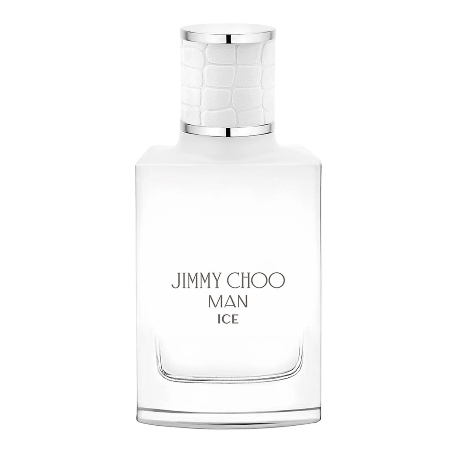 Jimmy Choo Ice EDT purškiklis 30 ml vyrams