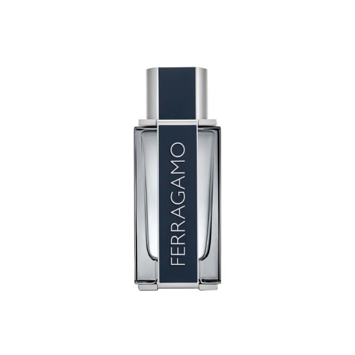 Salvatore Ferragamo Ferragamo EDT 50 ml vyr