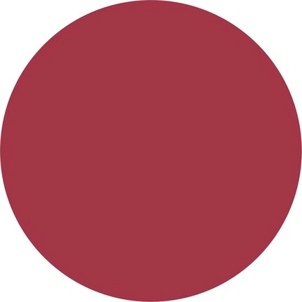 MAYBELLINE Super Stay Matte Ink matiniai lūpų dažai 80 Ruler 5ml