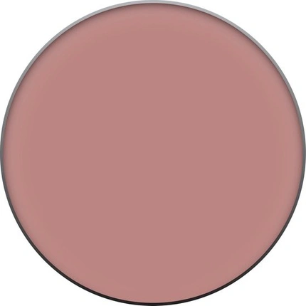 Clinique Compact Powder Clinique Foundation Blushing Blush Compact Powder Powder skaistalai 6 gr