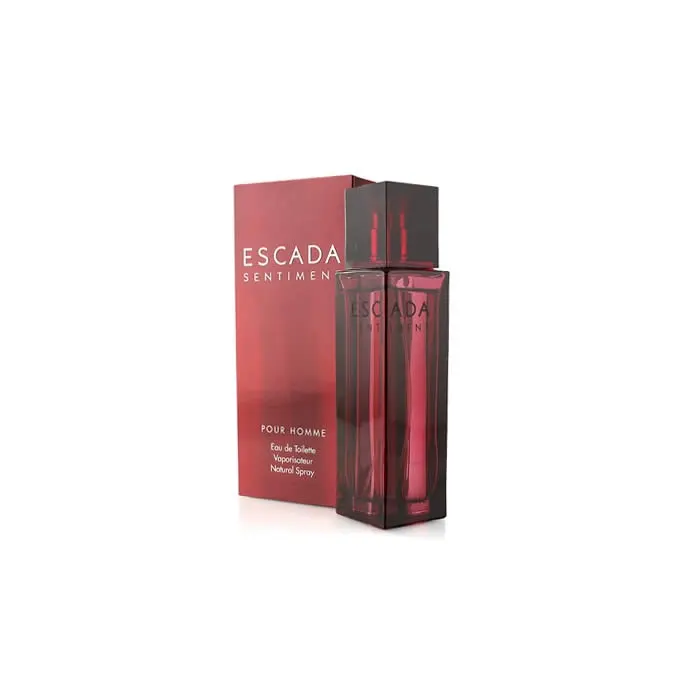 Escada Sentiment for Men tualetinis vanduo 100 ml