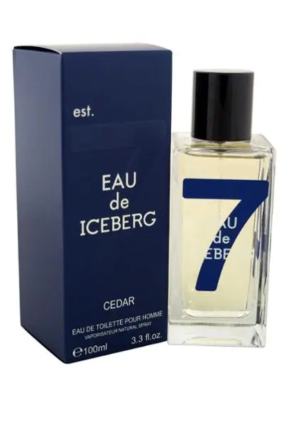 Iceberg Eau de Iceberg Cedar Eau De Toilette 100 ml vyras