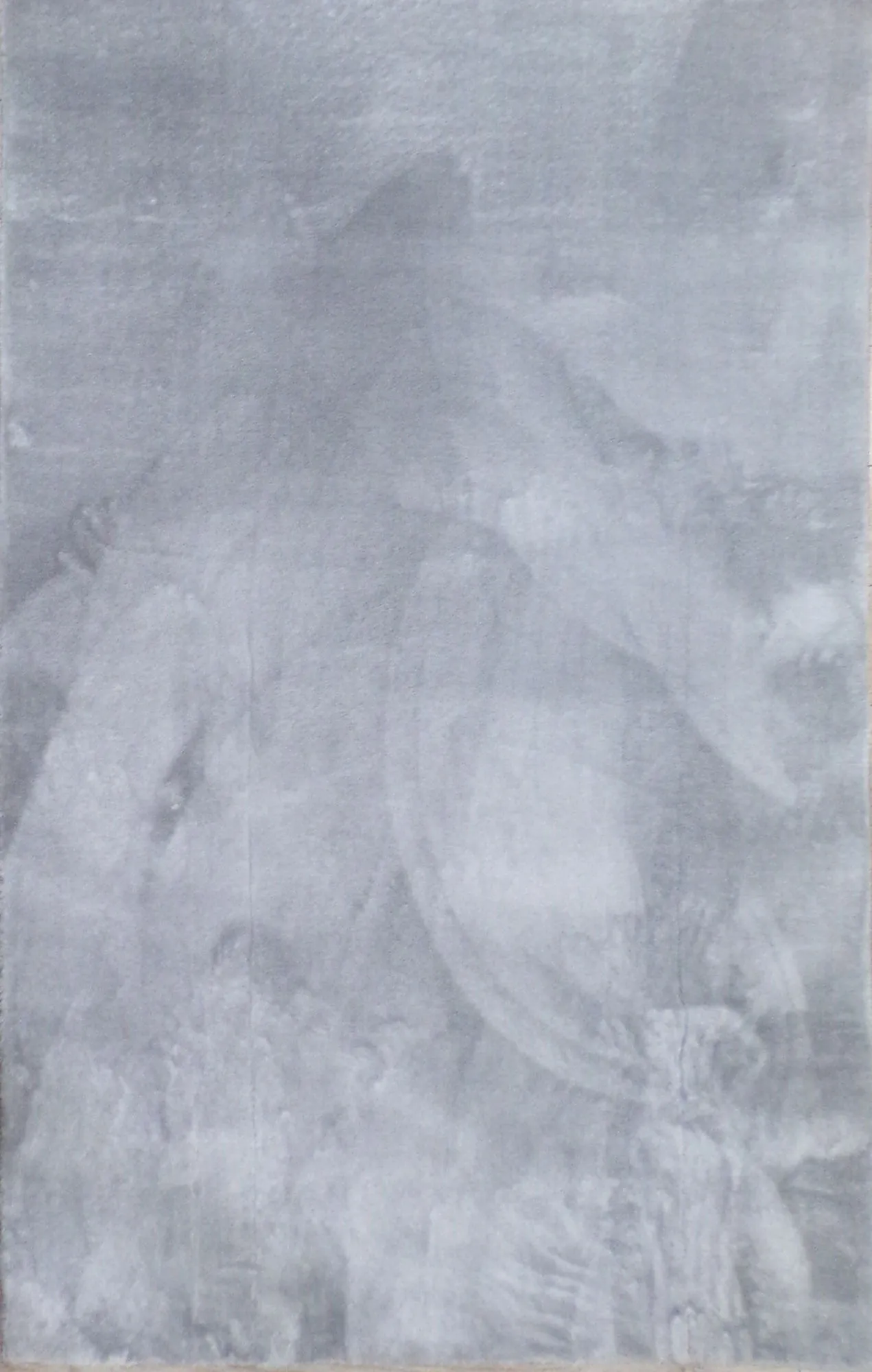 Kilimas (150 x 230), Conceptum Hypnose, šviesiai pilkas, 150 x 230, cm