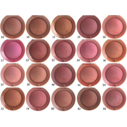 BJS LITTLE ROUND POT BLUSH 16 ROSE COUP 2 5G