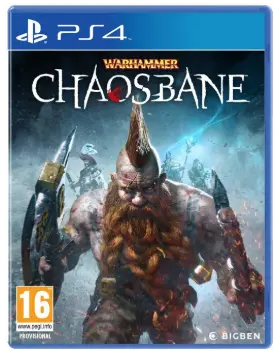 Kompiuterinis žaidimas Warhammer: Chaosbane PS4