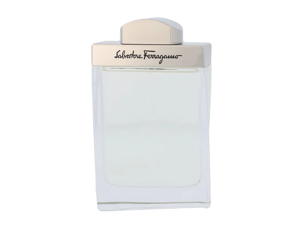 Tualetinis vanduo Salvatore Ferragamo Pour Homme, 100ml