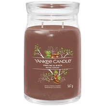Yankee Candle Praline & Berch 567 g