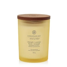 Chesapeake Bay Strength &amp; Energy Candle ( tumbler medium ) - Kvapnioji žvakė, 250.0g
