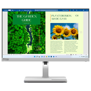 Lenovo L24m-40, 24'', FHD, LED IPS, 100 Hz, USB-C, pilkas - Monitorius