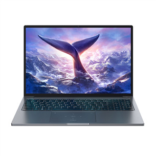 BlackView GamiBook 8, 16'', WUXGA, Ryzen 7, 32 GB, 1 TB, W11P, ENG, pilkas - Nešiojamasis kompiuteris